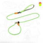 Dog Slip Leash – 2-in-1 Training Control