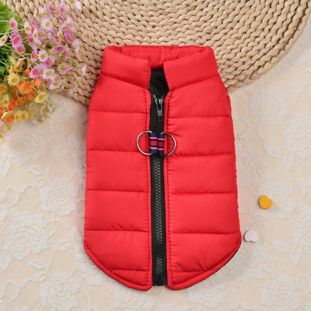 Beirui Winter Dog Coat – Warm Vest for Small Dogs