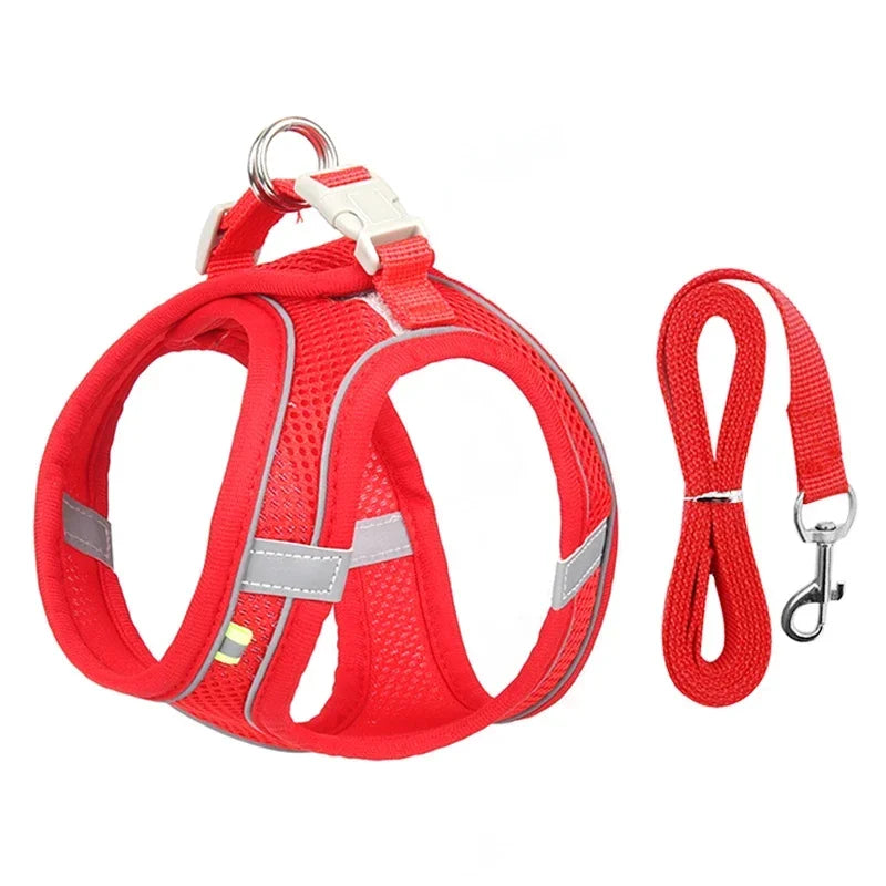 Reflective Nylon Dog Harness – Quick Release Small Breed