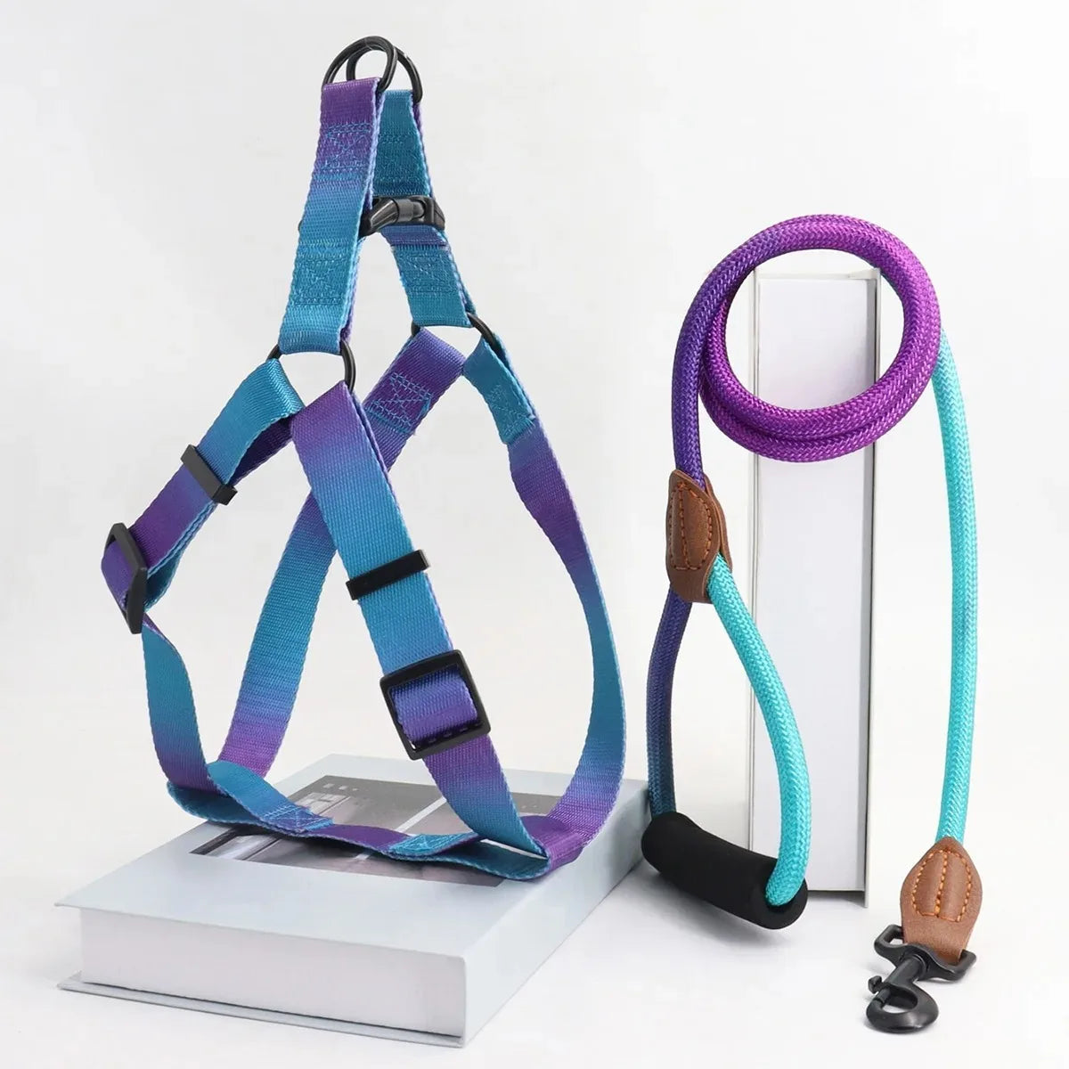 Dog Harness Set – Adjustable Comfort Fit