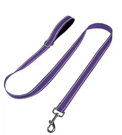 Dog Leash – Reflective Night Safety
