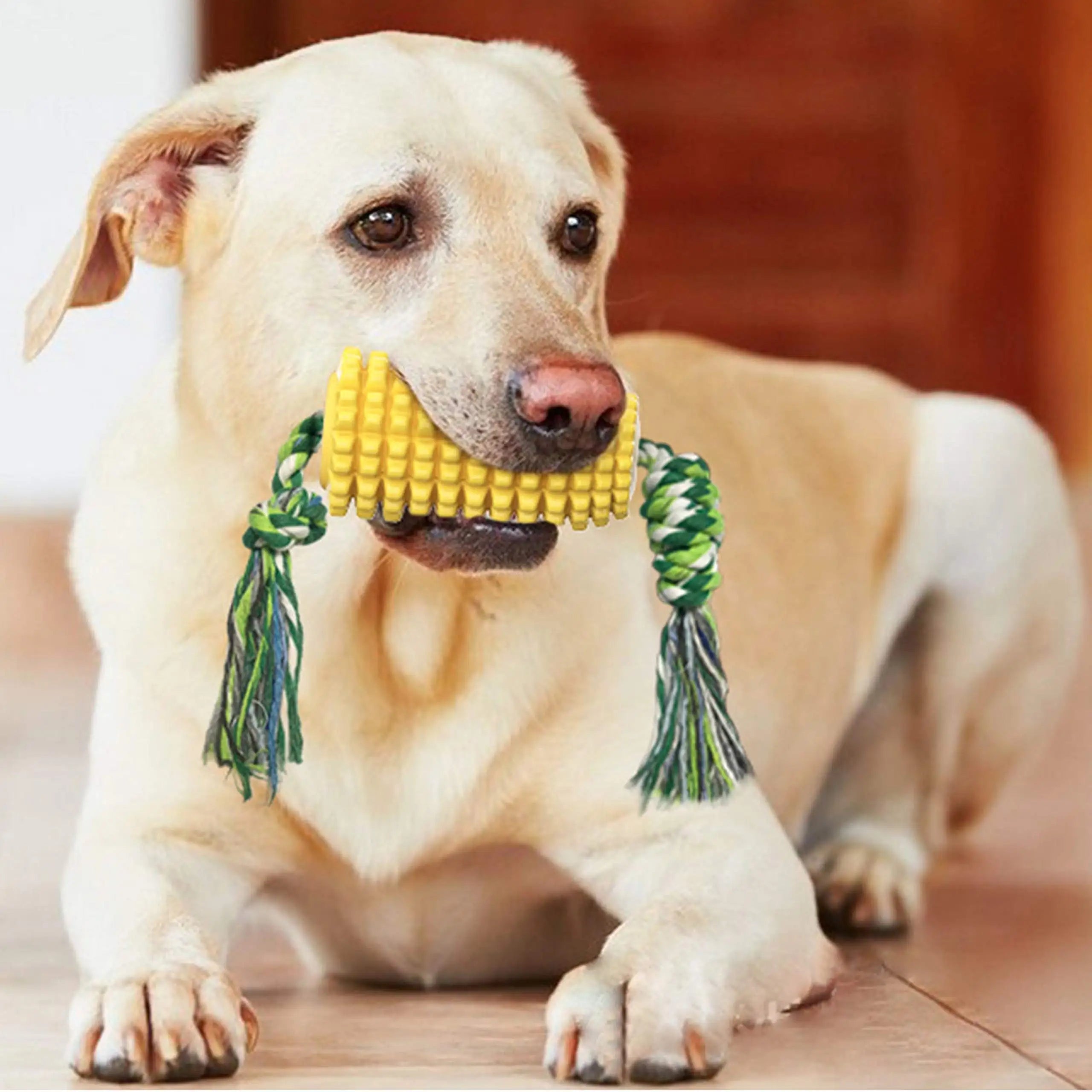 Corn Stick Squeaky Dog Toy – Durable Dental Chew