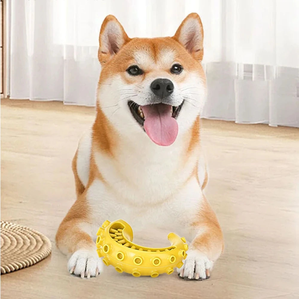 TPR Teeth Cleaning Dog Chew Toy for Small & Medium