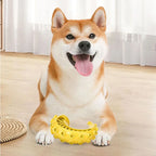 TPR Teeth Cleaning Dog Chew Toy for Small & Medium