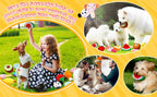 Dog Squeaky Plush Toys 50-Pack – Soft Toys for Small & Medium Dogs
