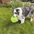KONG FlexBall Sport Ball XL – Durable Floating Fetch Toy