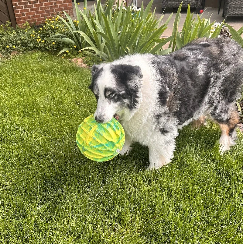 KONG FlexBall Sport Ball XL – Durable Floating Fetch Toy