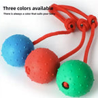 Solid Rubber Ball with Rope – Indestructible Dog Training Toy
