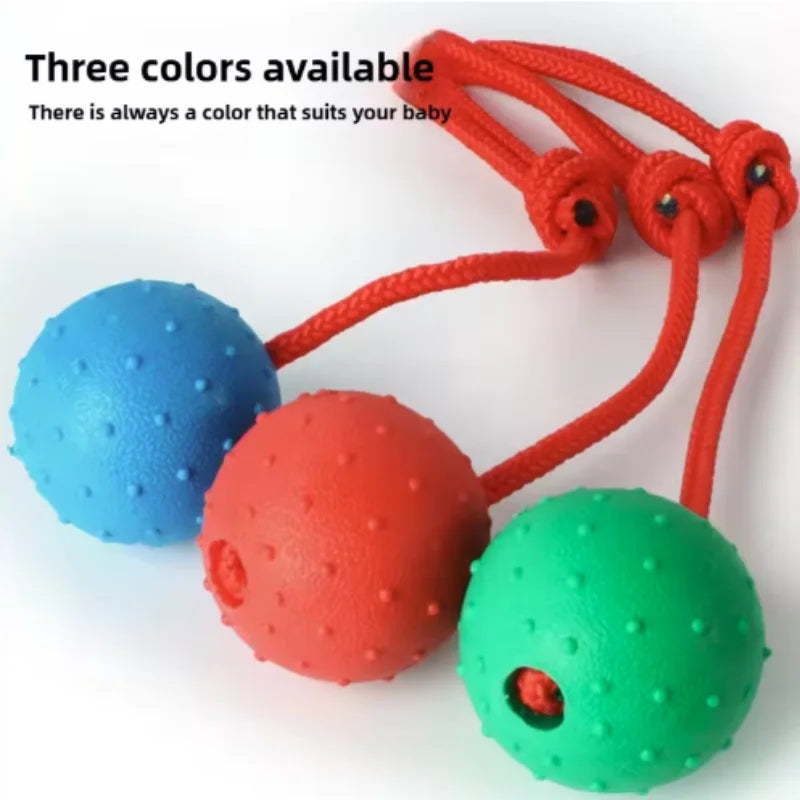 Solid Rubber Ball with Rope – Indestructible Dog Training Toy