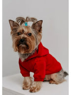 Winter Cotton Dog Jacket – Windproof Color Block Coat for Small Dogs