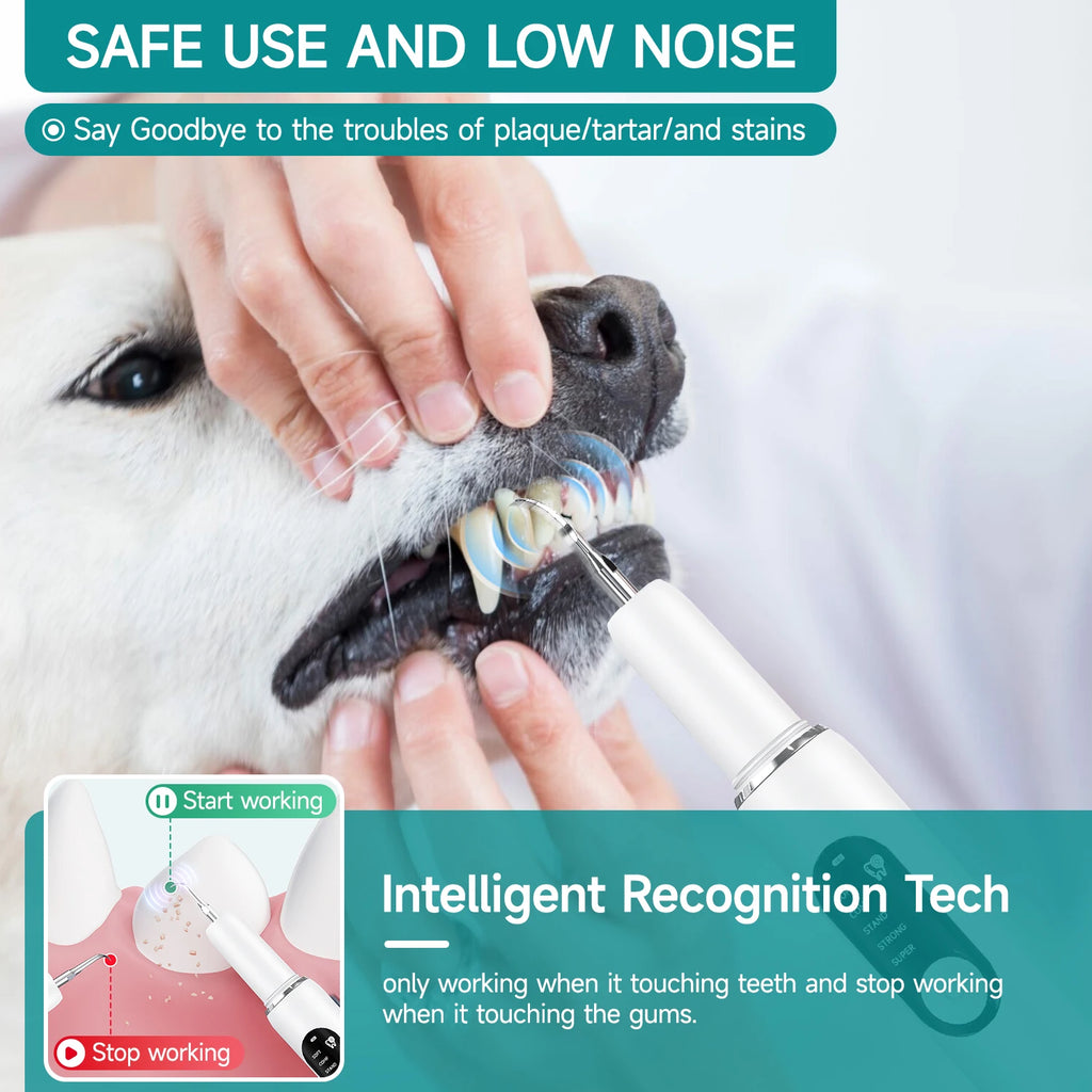 Dog Ultrasonic Tooth Cleaner – Tartar Remover