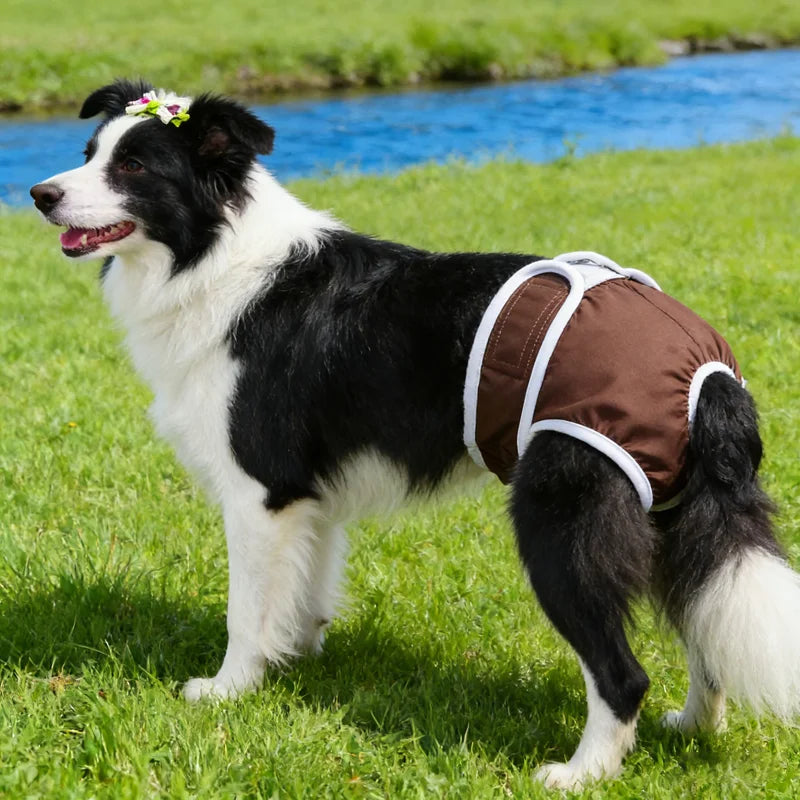 Female Dog Diapers – Reusable Waterproof Washable Pants