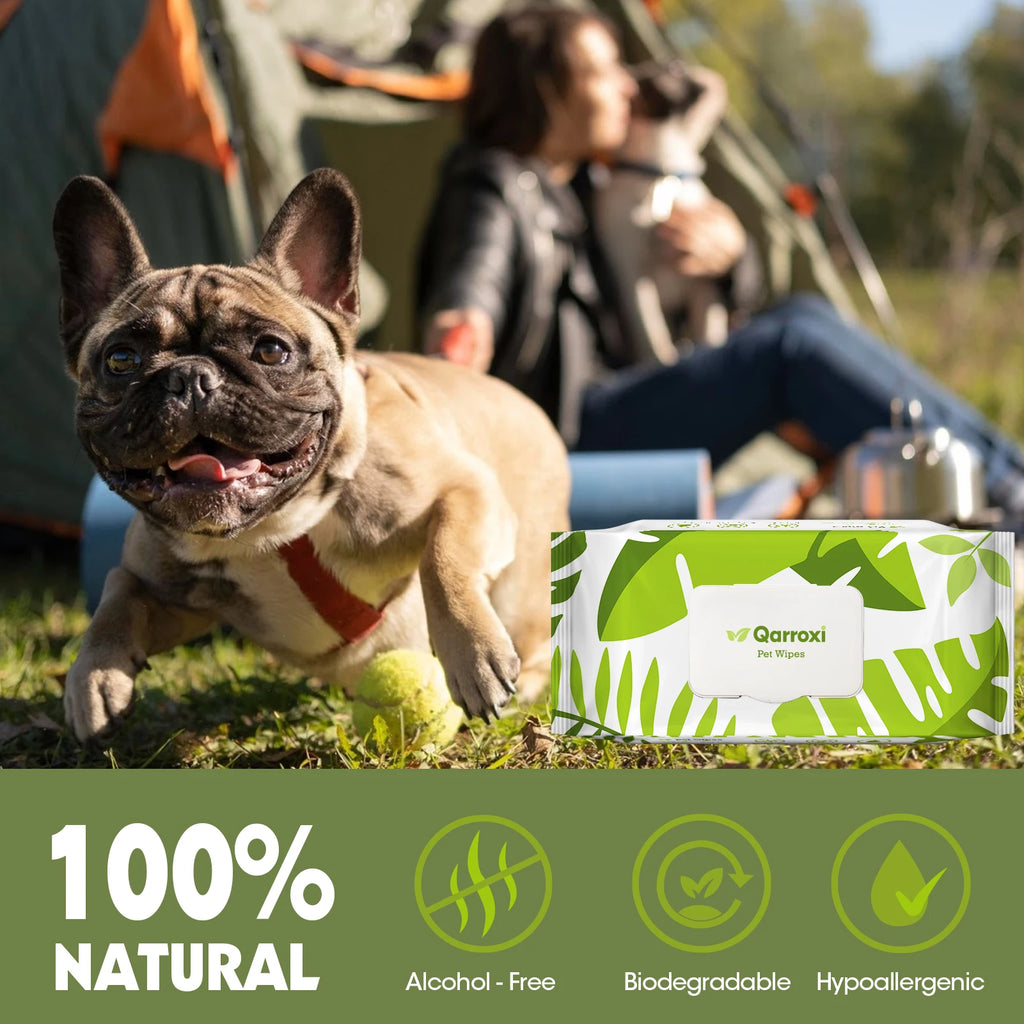 Dog Cleaning Wipes – Gentle Daily Pet Wipes (100pcs)
