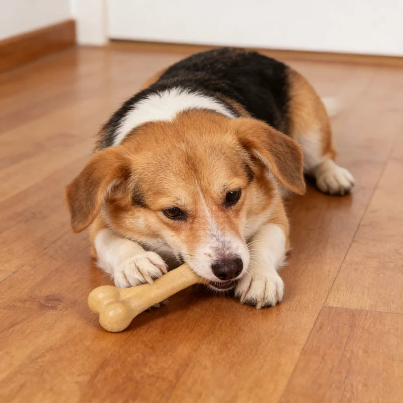 Dog Bone Chew Toy – Nearly Indestructible for All Sizes