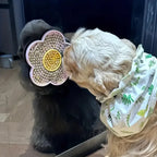 Interactive Sunflower Dog Lick Mat – Silicone Anxiety Relief Pad