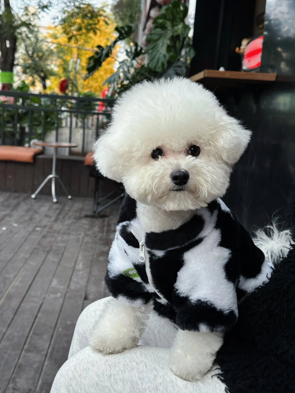 Thick Dog Winter Coat – Warm Polyester Autumn Jacket
