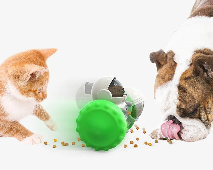 Dog Treat Dispenser Puzzle Toy – Slow Feeder