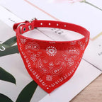 PetCare Dog Bandana – Cotton Multicolor Neckerchief, 1pc
