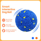 Smart Dog Ball 8cm – Automatic Waterproof Interactive Toy