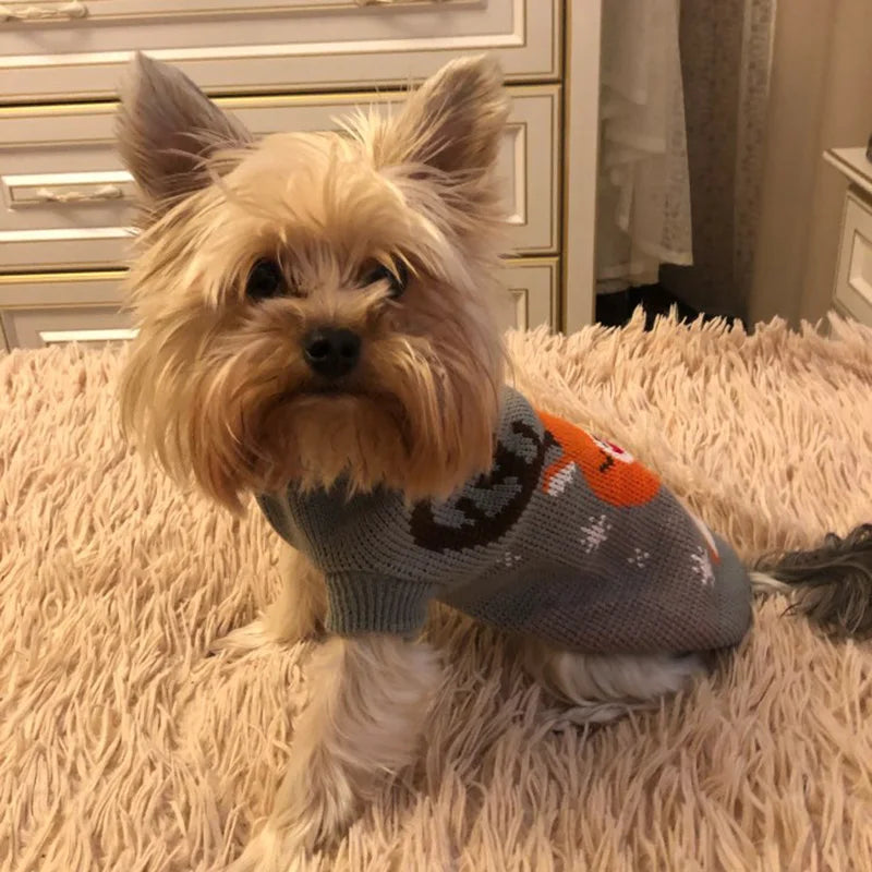 XLeiPet Cartoon Dog Sweater – Warm Stretch Knit Pullover