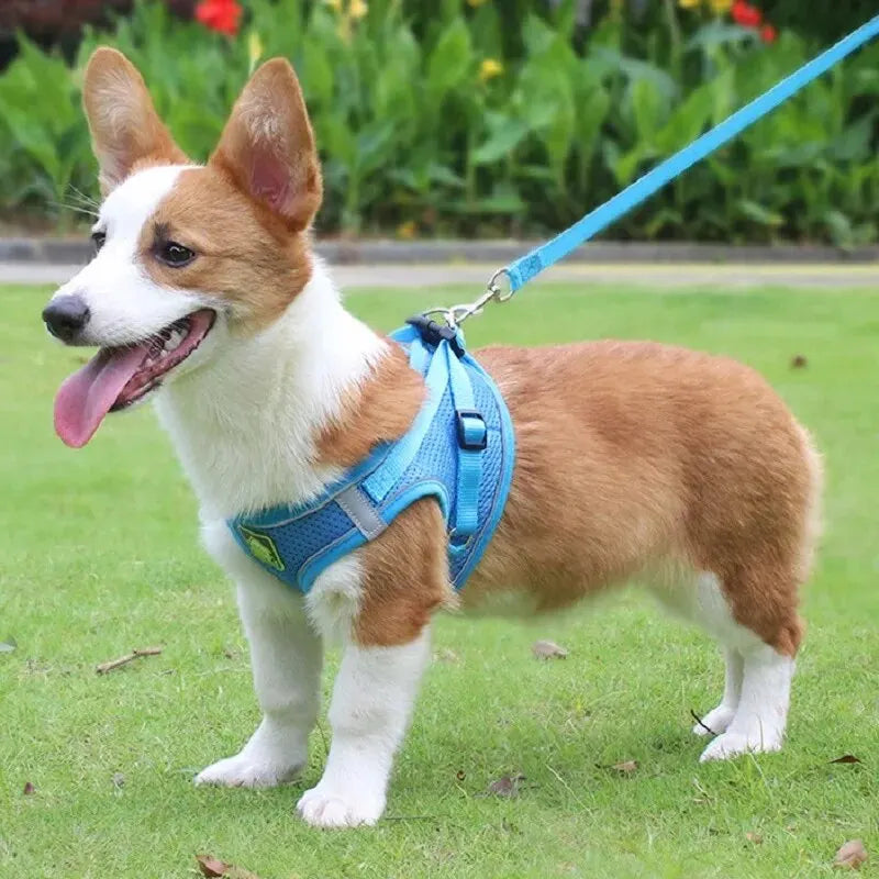 Reflective Dog Harness and Leash Set – No Pull Mesh Vest