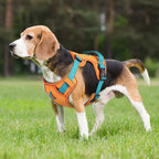 Mesh Dog Harness – Breathable Reflective Training Vest