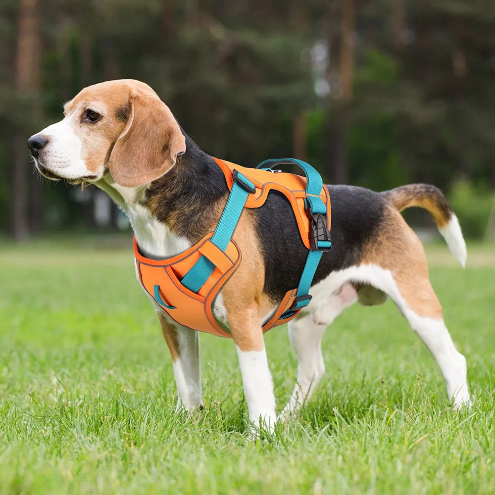 Mesh Dog Harness – Breathable Reflective Training Vest