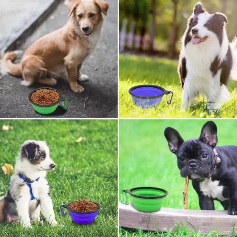 Heavy-Duty Collapsible Dog Travel Bowl – Adventure-Ready Silicone Feeder