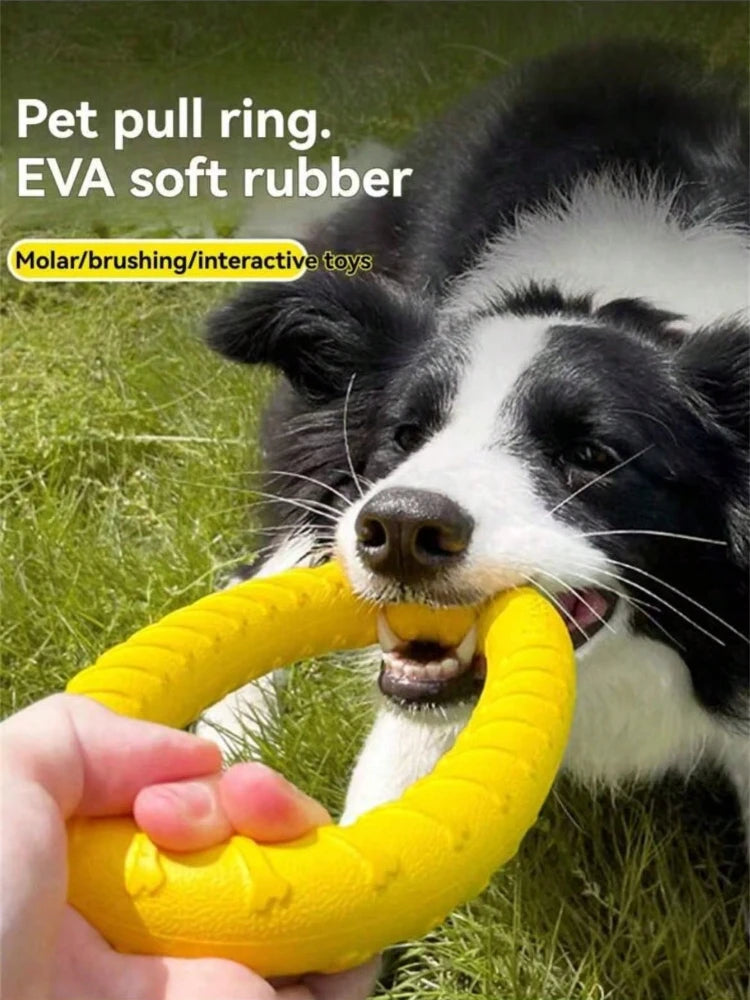 Indestructible Dog Ring Toy – Floating for All Sizes