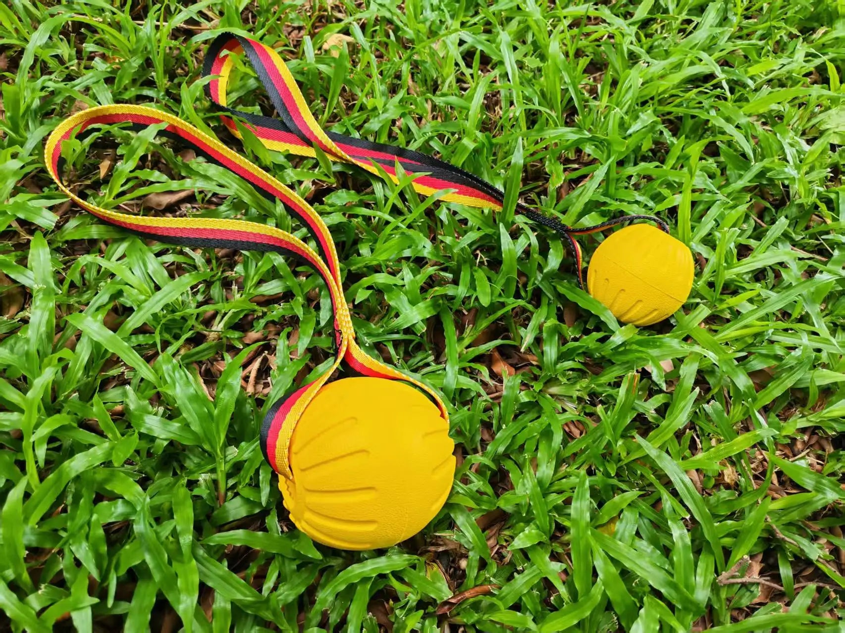 Dog Interactive Toy Set – EVA Rope Ball & Flying Disc