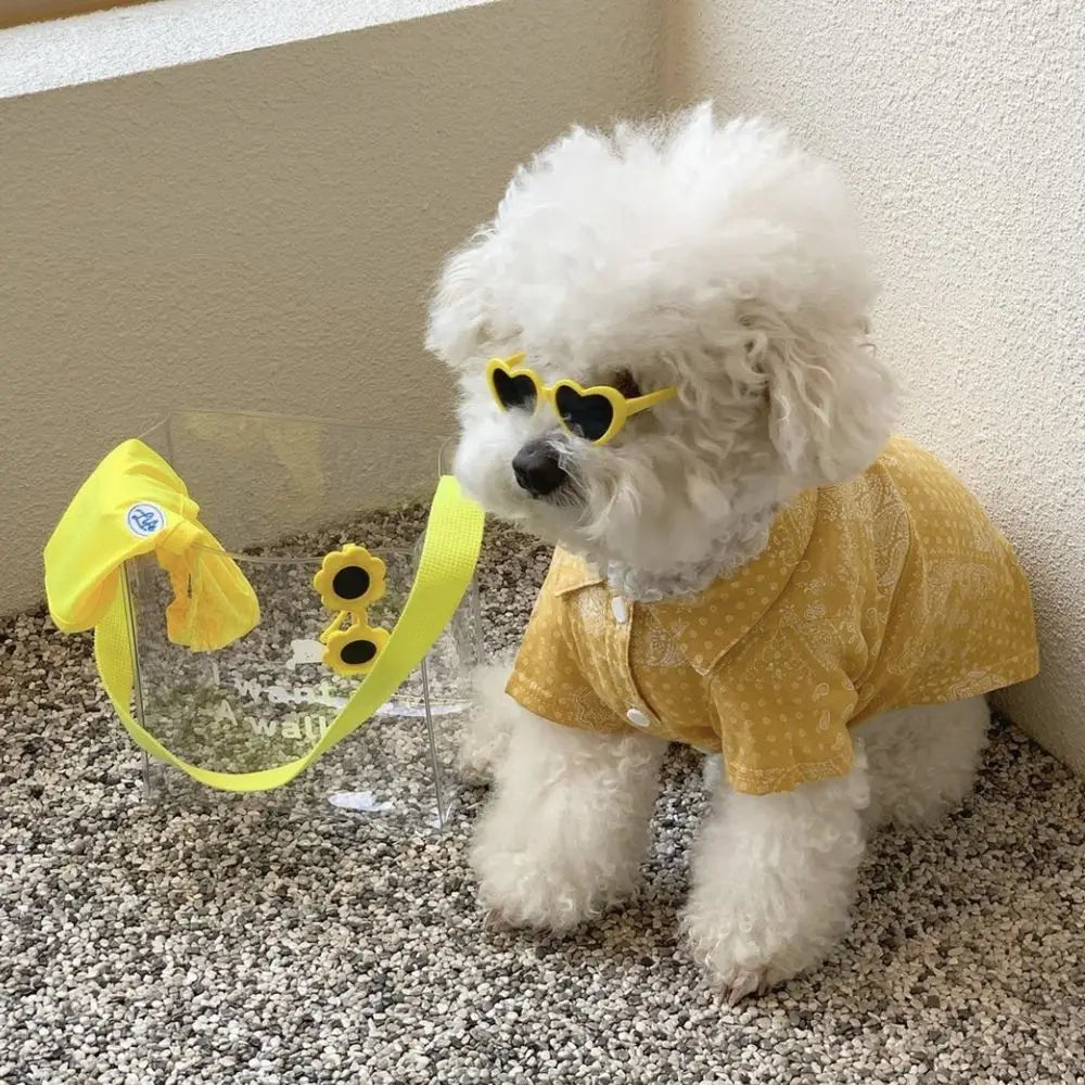Fashion Heart Dog Sunglasses – Lightweight Photo Accessory