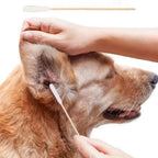 Pet Cotton Swabs – 50 Pcs Ear Cleaning Sticks for Dogs