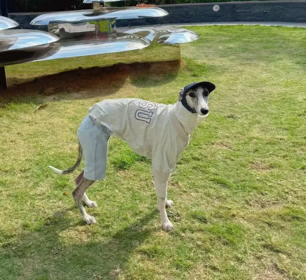 Cotton 2-Legged Dog Undershirt – Soft Warm Base Layer