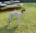 Cotton 2-Legged Dog Undershirt – Soft Warm Base Layer