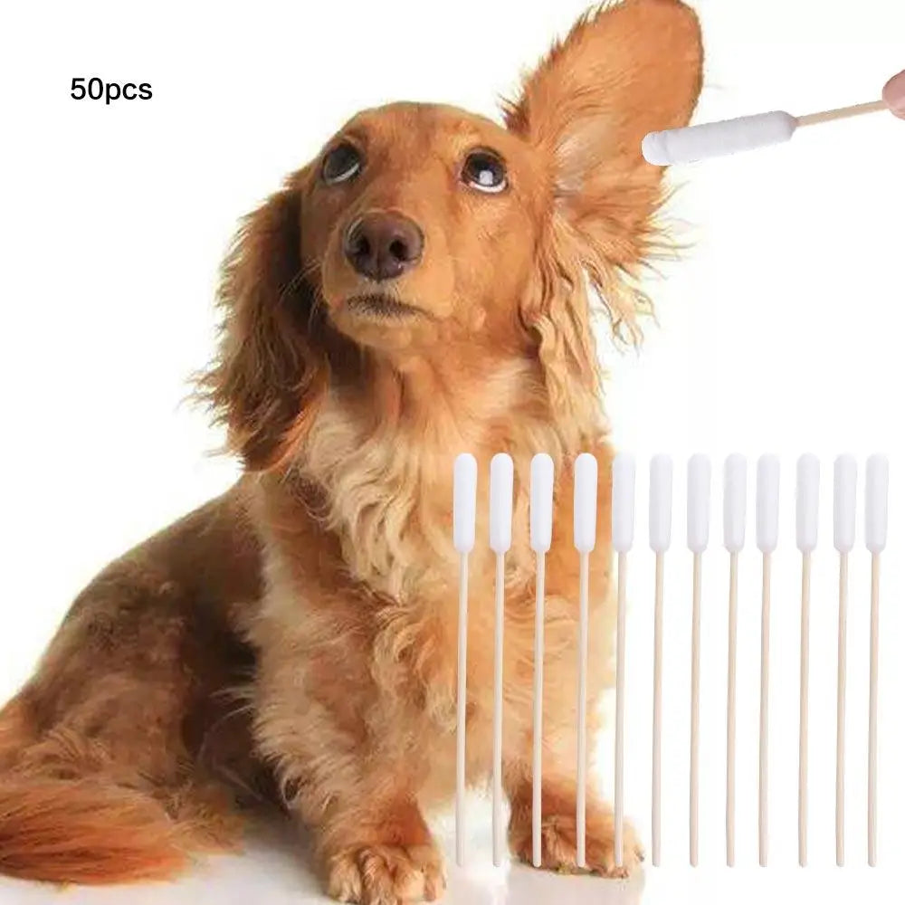 Pet Cotton Swabs – 50 Pcs Ear Cleaning Sticks for Dogs