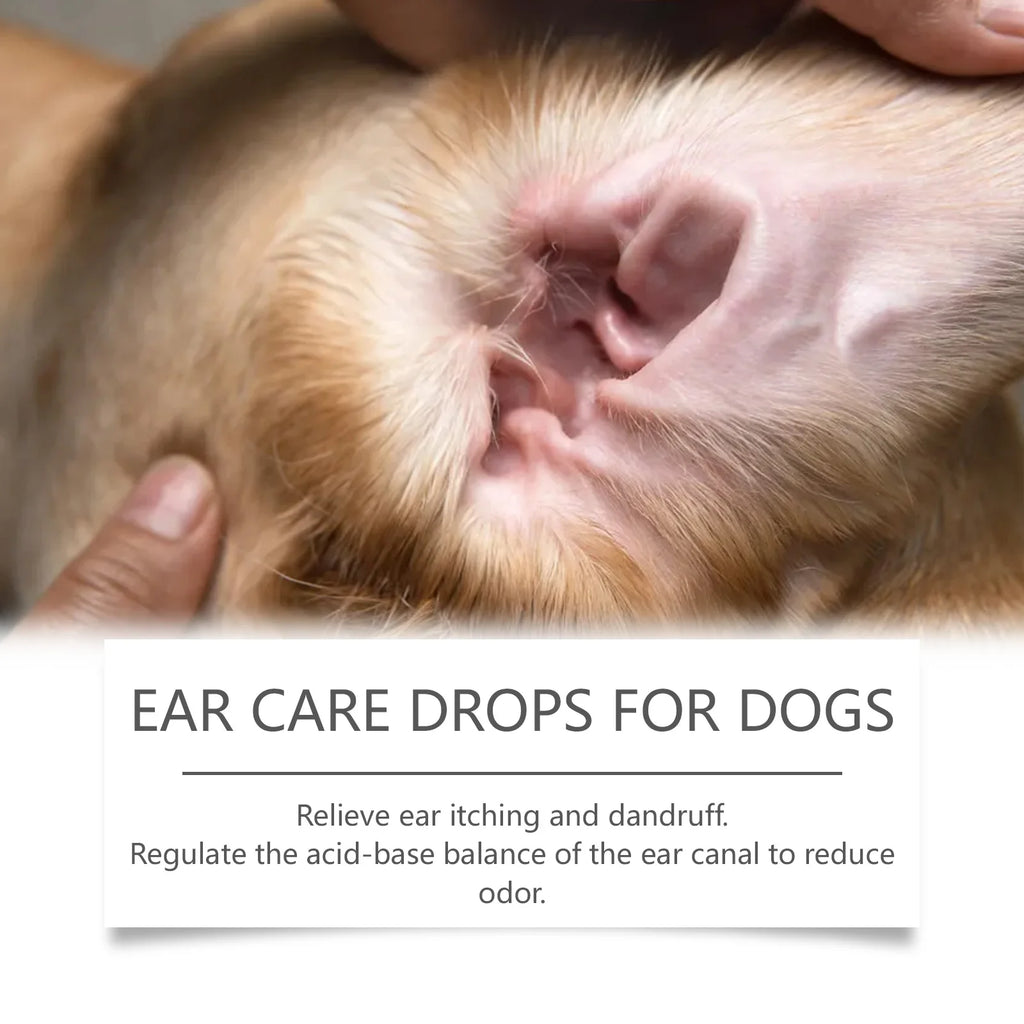 Dog Ear Drops – Anti-Itch Ear Cleaner