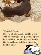Soft Coral Fleece Dog Blanket 60x40cm – Cozy Washable Winter Throw