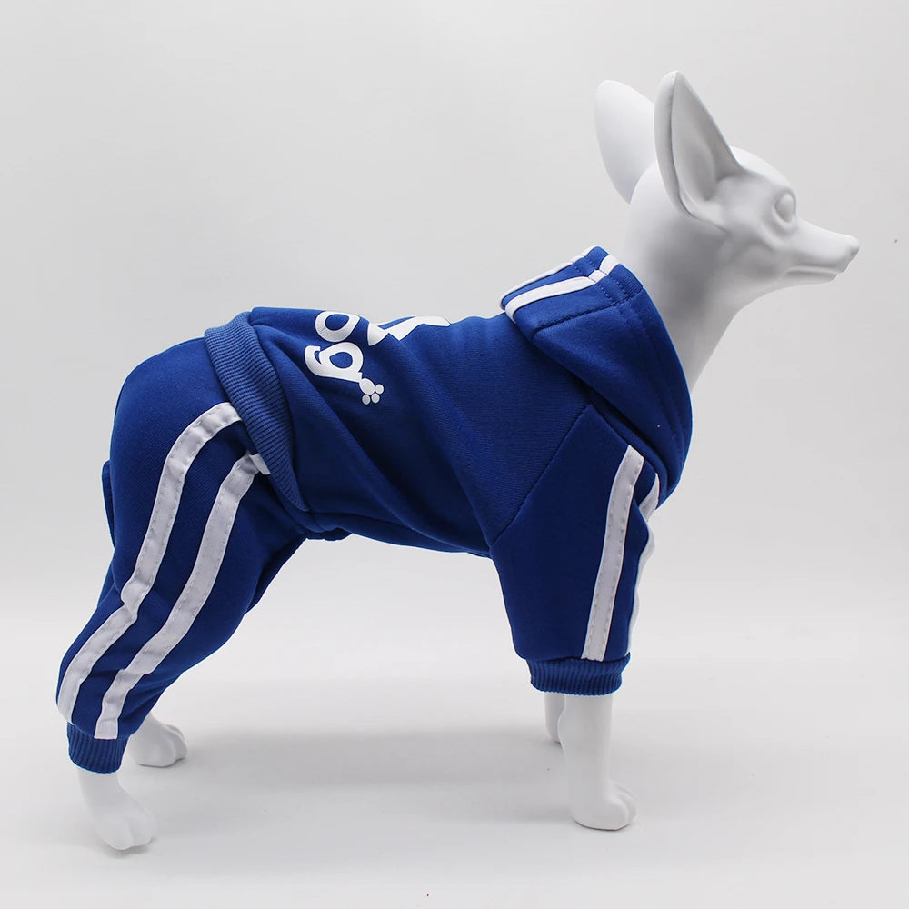 Adidog Dog Jumpsuit – Hooded Spring Outfit for Small Dogs