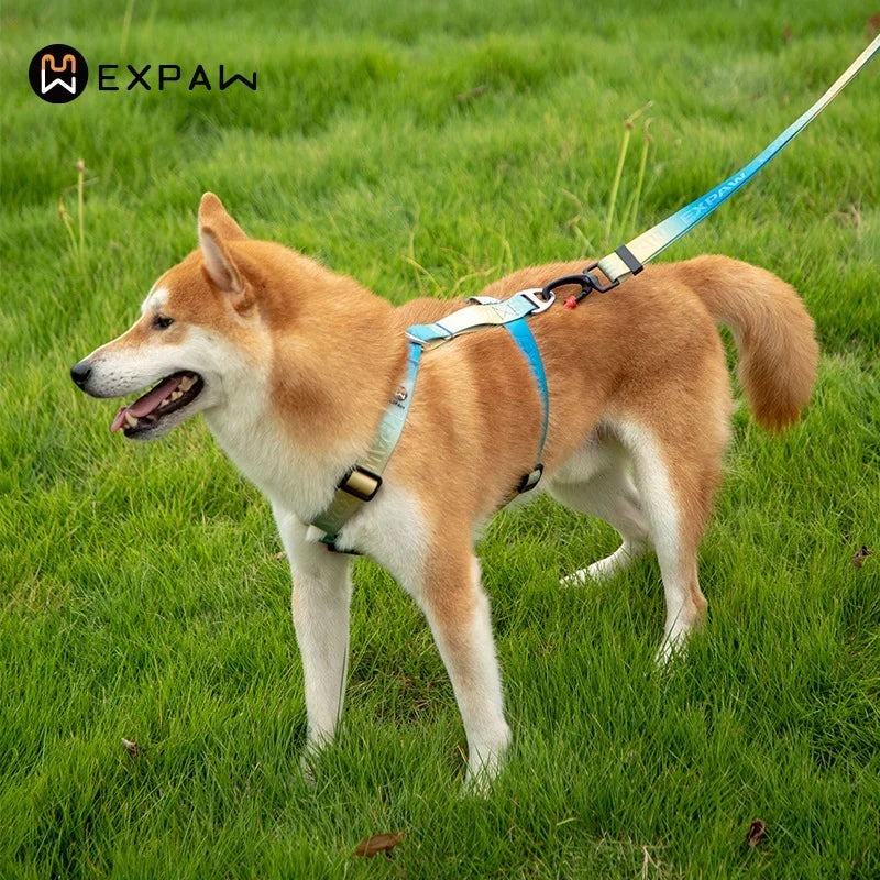 No Pull Dog Harness – Adjustable Nylon Chest Vest
