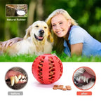 Rubber Chew Ball - Dental Care & Treat Dispensing for Dogs