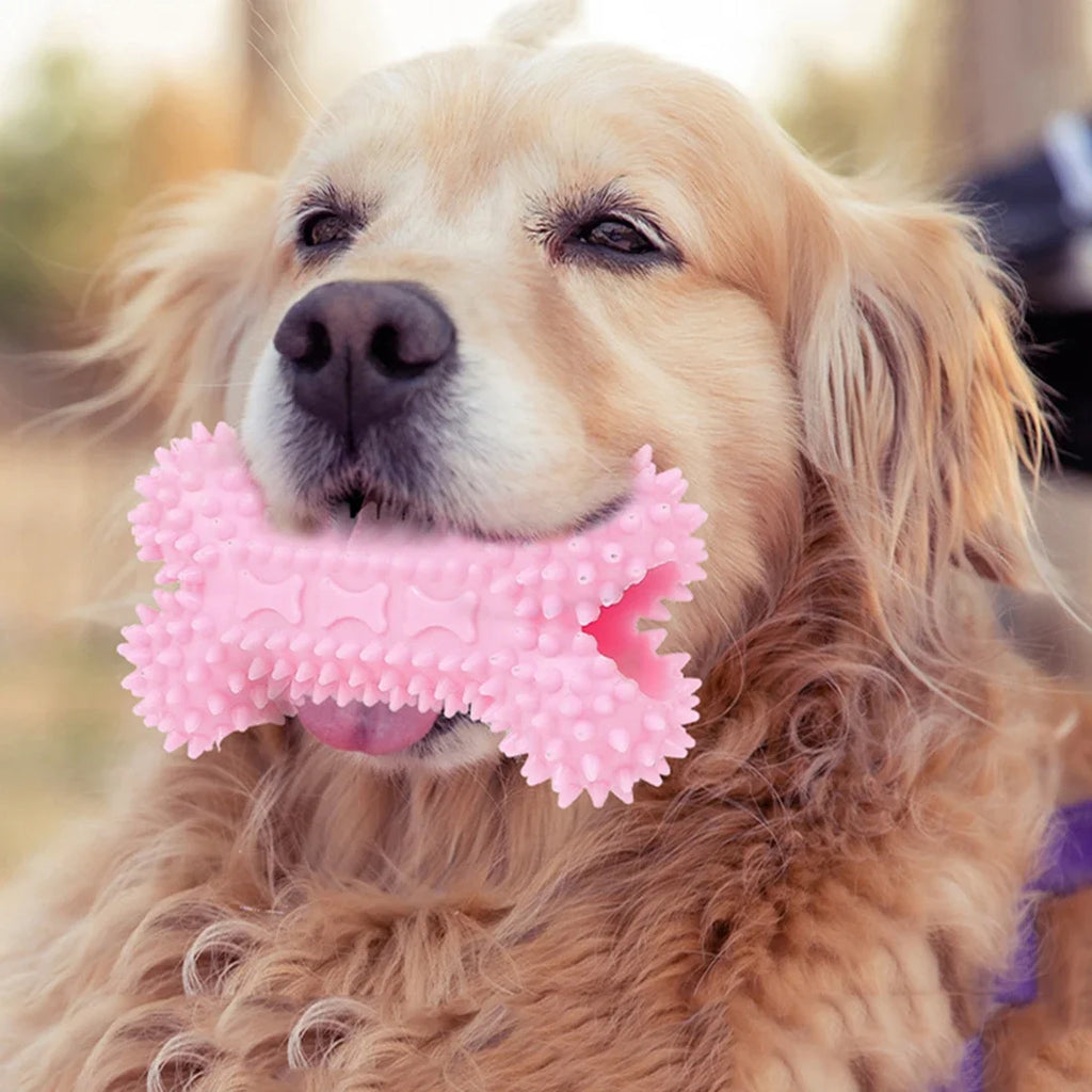 Indestructible Dog Toy for Small Dogs – Teeth Cleaning Bone