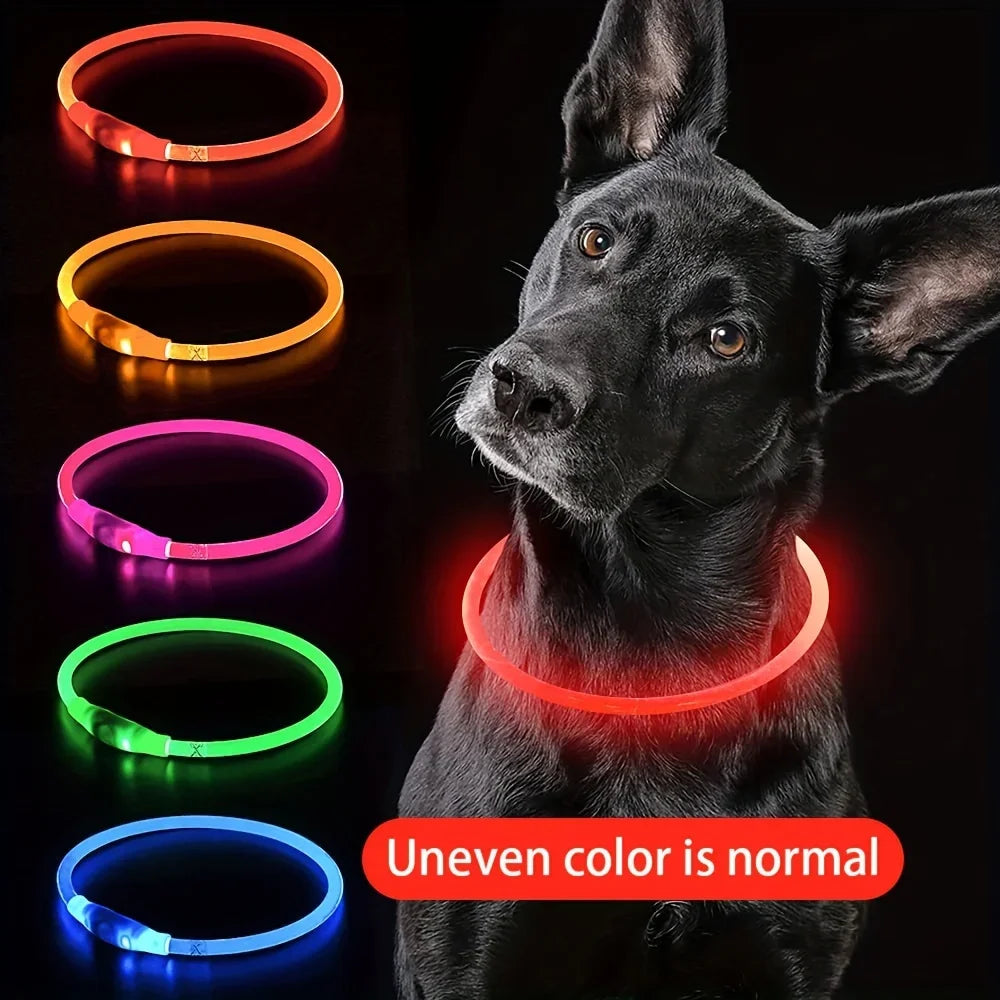 USB Rechargeable LED Dog Collar – Reflective Night Safety Black