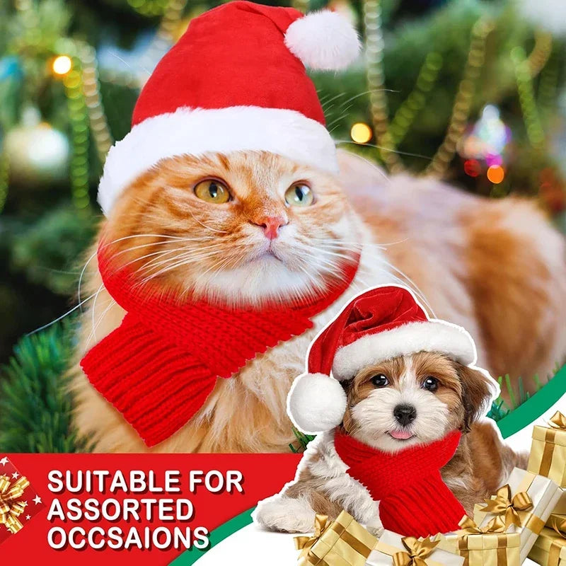 Dog Santa Hat – Small to Medium | Christmas Party Accessory | Red