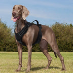 Tactical Dog Harness – No Pull Reflective Vest with Handle