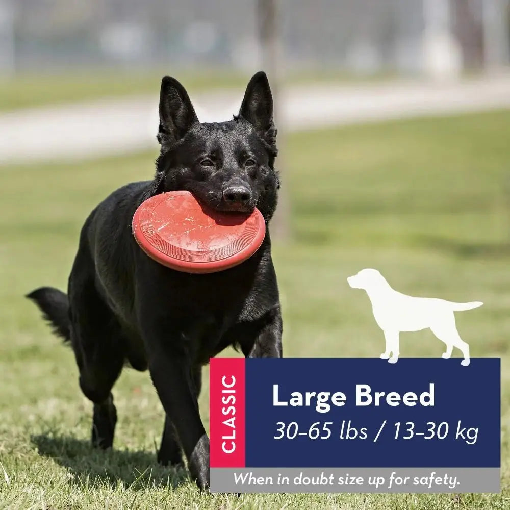 KONG Flyer Dog Disc – Durable Rubber Flying Disc for Fetch