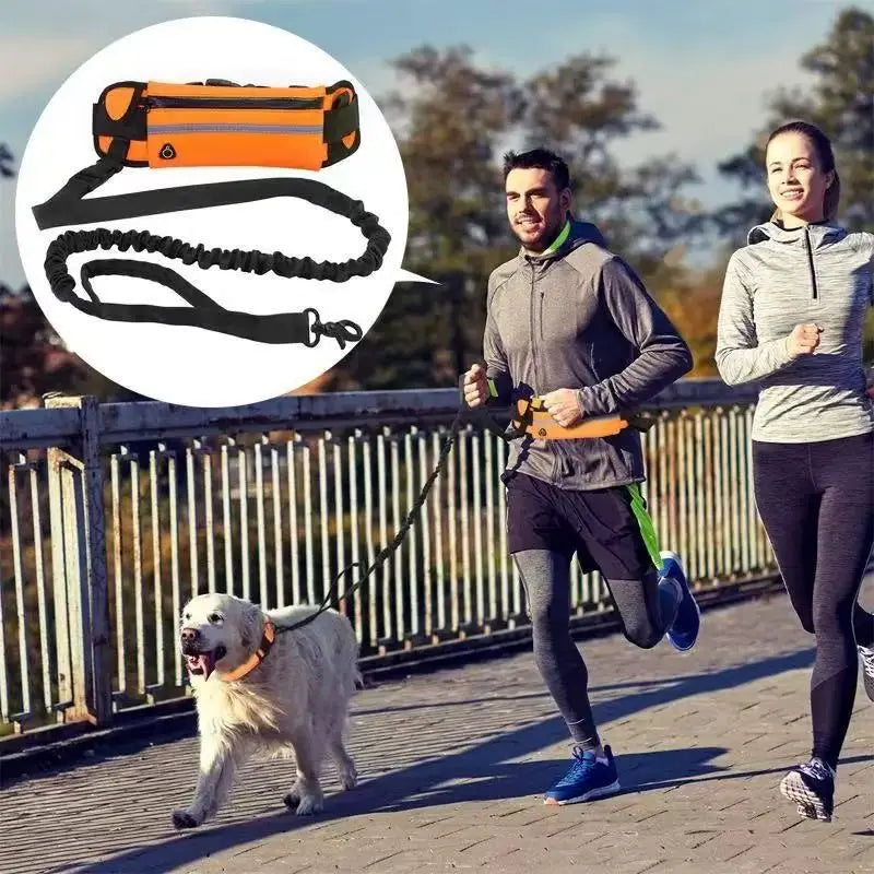 Dog Leash – Hands-Free Running Belt