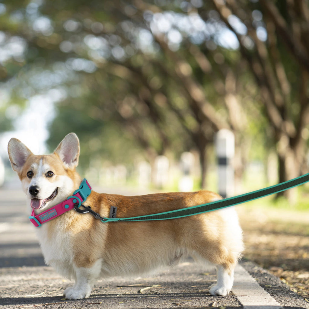 Dog Training Leash – Long Durable Lead
