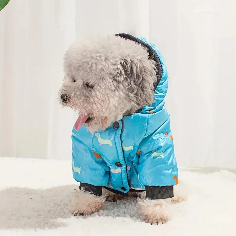 Dog Hooded Down Jacket – Winter Coat with Leash Ring