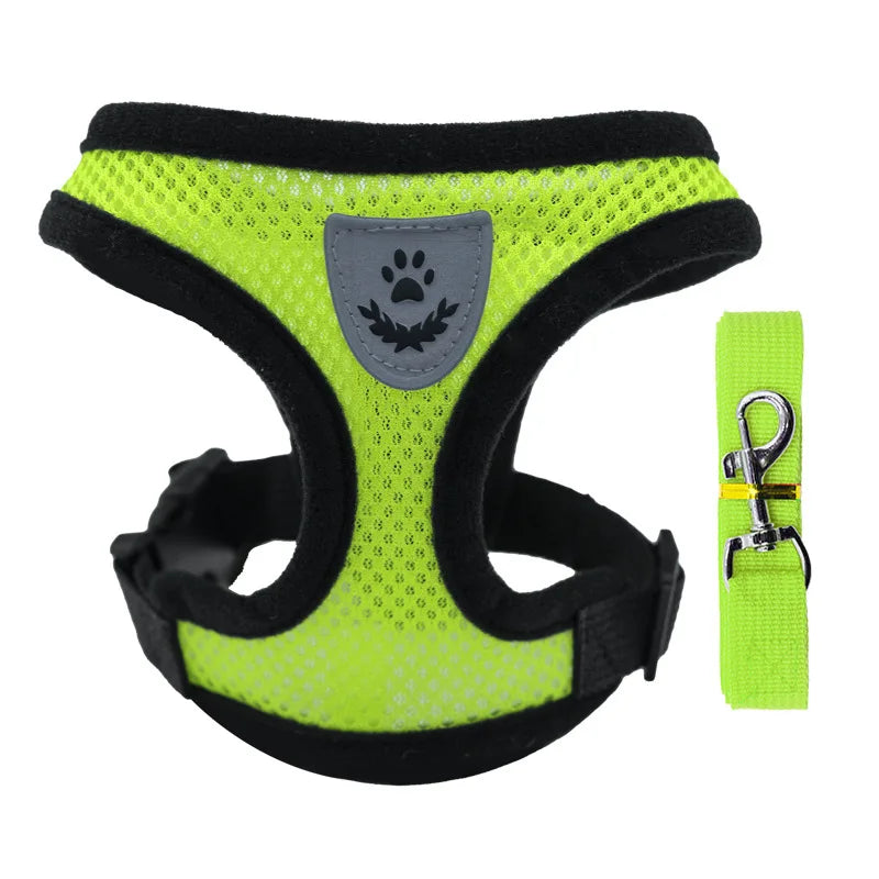 Small Dog Harness & Leash Set – Breathable Mesh Vest