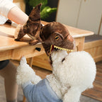 Dinosaur Hand Puppet Dog Toy – Interactive Plush